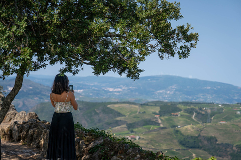 Da Porto: Tour dei vini della Valle del Douro con pranzo di 3 portateTour condiviso