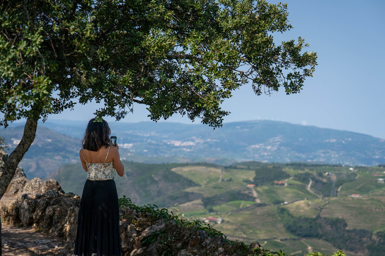 Douro-vallei: premium tour met kleine groepen vanuit Porto