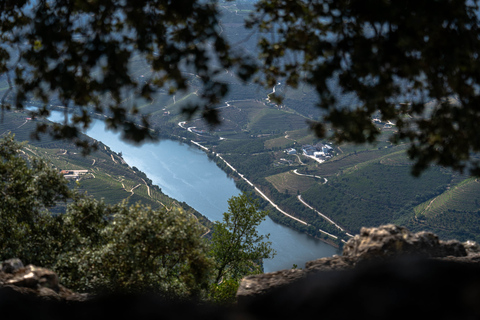 Do Porto: Tour de vinhos no Vale do Douro com almoço de 3 pratosPasseio compartilhado