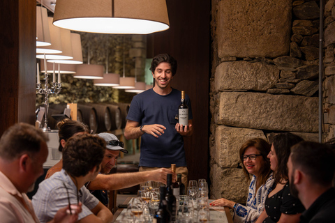 Do Porto: Tour de vinhos no Vale do Douro com almoço de 3 pratosPasseio compartilhado