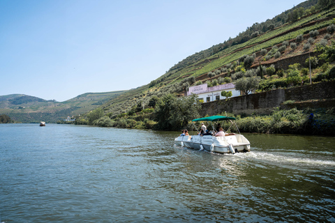 Valle del Duero: Excursión Premium en grupo reducido desde Oporto