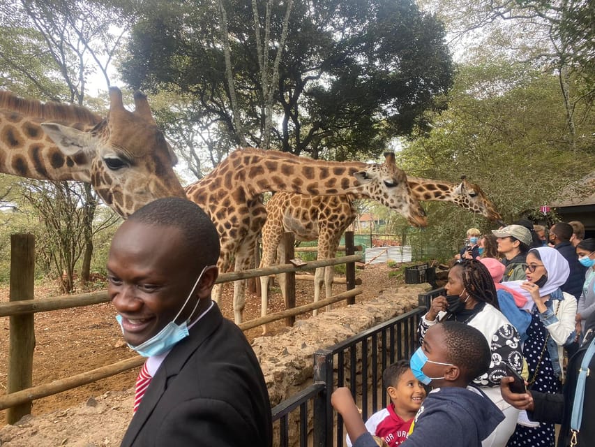 Giraffe Centre En Bomas Of Kenya Tour GetYourGuide