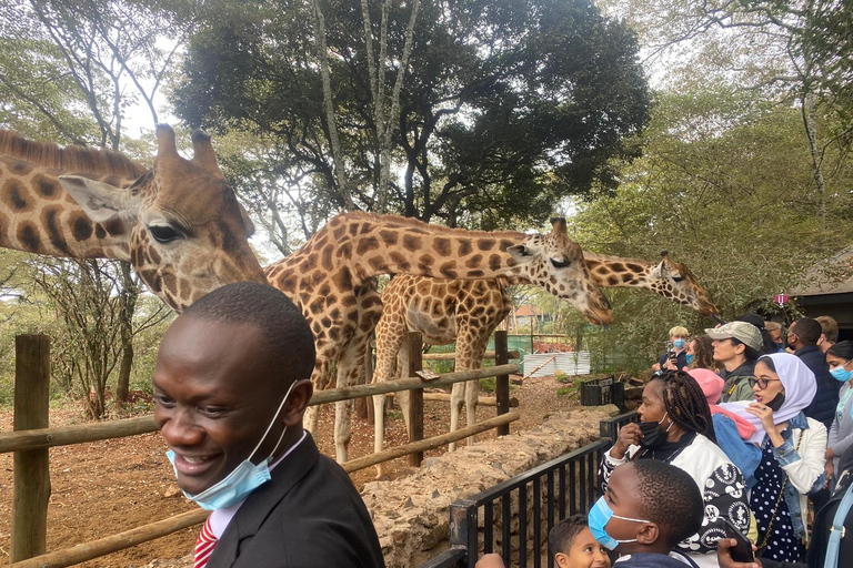 Visita al Centro de Jirafas y Bomas de Kenia