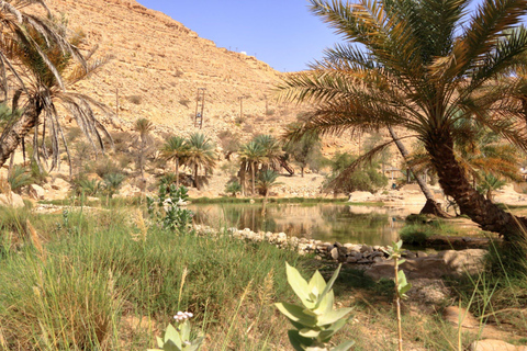 From Agadir: Discover Paradise Valley & Swimming