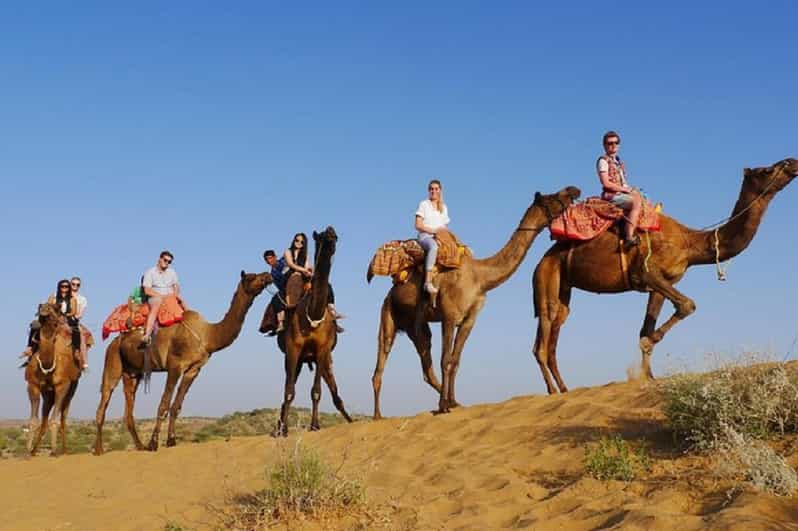 7 Days Jaisalmer Jodhpur And Udaipur Tour GetYourGuide