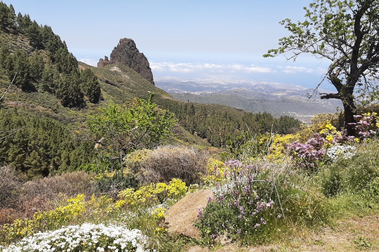 Gran Canaria Highlights: Roque Nublo, Vulkane und Tapas