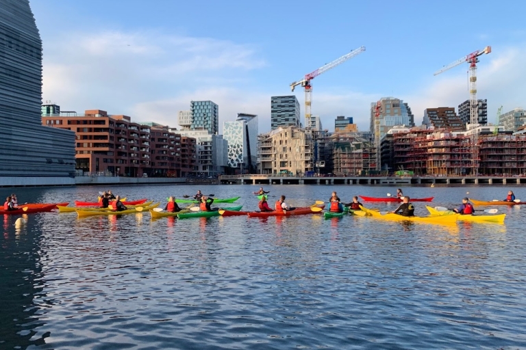2 Hour Sea Kayak in Oslo