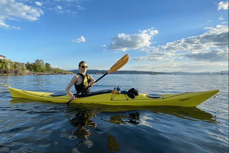 Excursión de 2 horas en kayak de mar por Oslo2 horas de kayak de mar en Oslo