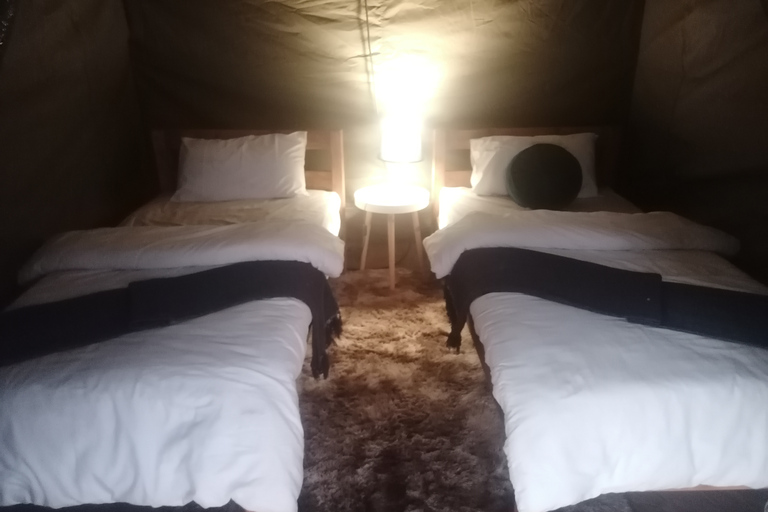 Vanuit Johannesburg: 2-daagse Kruger National Park Tented Safari