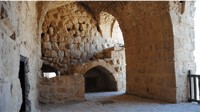 Jerash Ajloun Castle full day trip - Housity