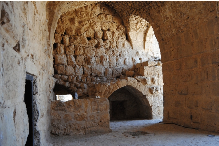 Jerash Ajloun Castle full day trip
