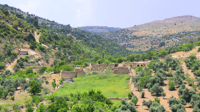 Jerash Ajloun Castle full day trip - Housity