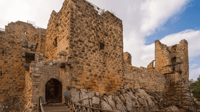 Jerash Ajloun Castle full day trip - Housity