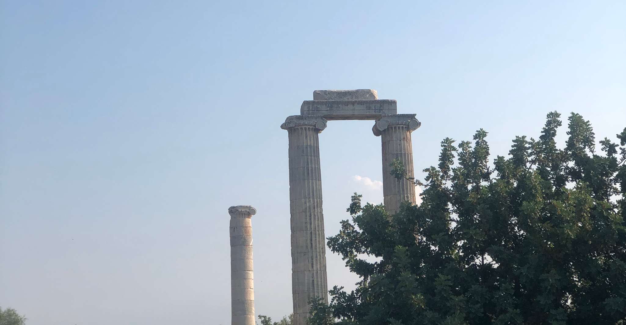 From Kusadasi, Priene, Miletos, and Didyma Private Day Trip - Housity