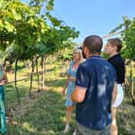 Cavaion: Degustazione di vini e cibi del lago di Garda con tour gastronomico