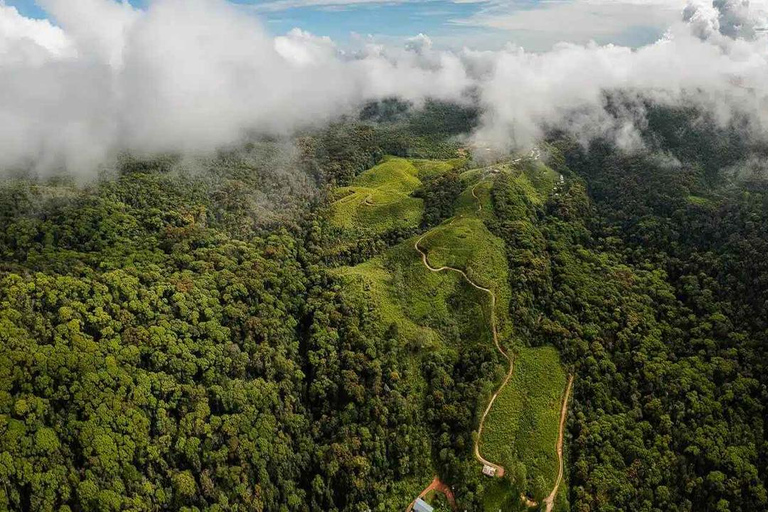 Sinharaja-Regenwald (UNESCO) &amp; Öko-Tour (3 Tage) mit HotelSinharaja-Regenwald (UNESCO) &amp; Öko-Tour (3 Tage) mit Hotel