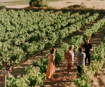 Die Insel Milos: Kostantakis Winery Weinverkostung
