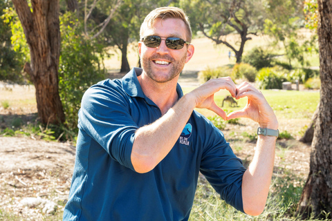 Au départ de Melbourne : Circuit Premium de la Grande Route de l&#039;Océan en sens inverseAu départ de Melbourne : circuit haut de gamme sur la Great Ocean Road dans le sens inverse