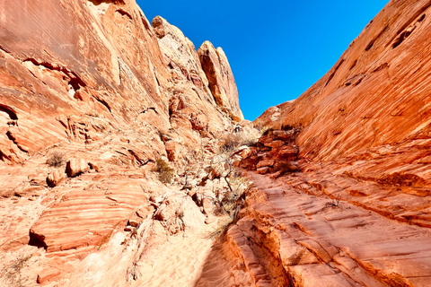 Valley of Fire VIP Small Group Tour From Las Vegas
