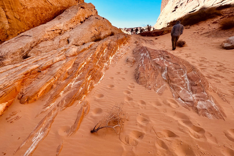 Valley of Fire VIP Small Group Tour From Las Vegas