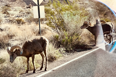 Valley of Fire VIP Small Group Tour From Las Vegas