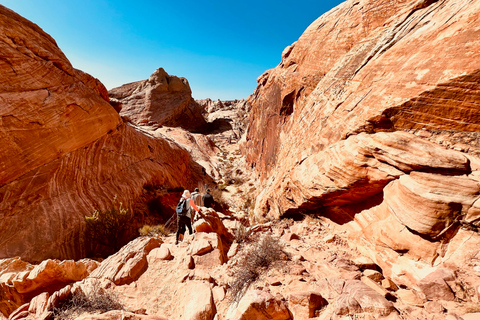 Valley of Fire VIP Small Group Tour From Las Vegas