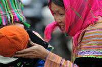 From Sapa, Ethnic Colorful Market On Sun Day - Bac Ha - Housity