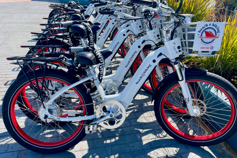 لوس أنجلوس ركوب الدراجة الإلكترونية على الشاطئ من شاطئ ريدوندو إلى سانتا مونيكالوس أنجلوس: ركوب ال