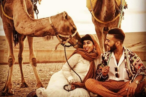 Jantar romântico e passeio de camelo no deserto de Agafay