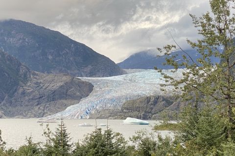 Juneau: Mendenhall Glacier and Whale Watching Tour