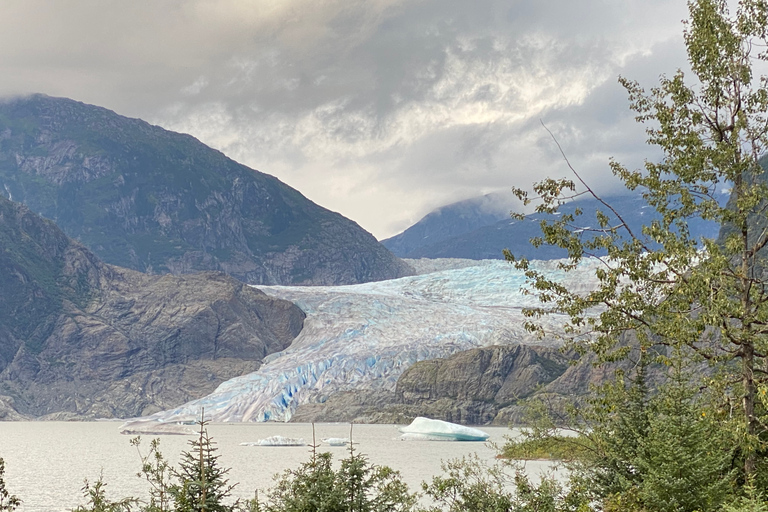 Juneau: Geleira Mendenhall e passeio de observação de baleiasJuneau: Glaciar Mendenhall e passeio de observação de baleias