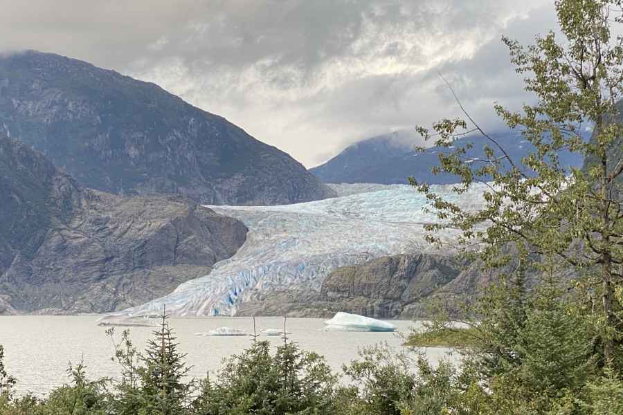 Juneau: Mendenhall Gletscher und Walbeobachtungstour. Foto: GetYourGuide