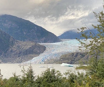 Juneau: Mendenhall Glacier and Whale Watching Tour