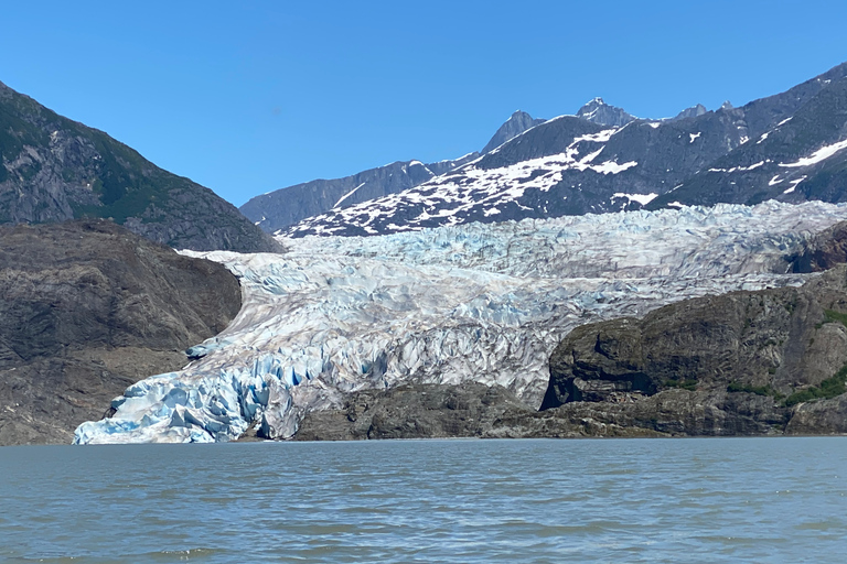 Juneau: Geleira Mendenhall e passeio de observação de baleiasJuneau: Glaciar Mendenhall e passeio de observação de baleias