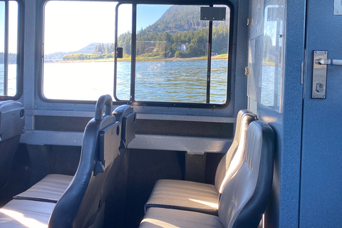 Juneau: Geleira Mendenhall e passeio de observação de baleiasJuneau: Glaciar Mendenhall e passeio de observação de baleias