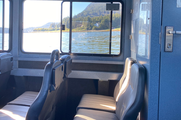 Juneau: Geleira Mendenhall e passeio de observação de baleiasJuneau: Glaciar Mendenhall e passeio de observação de baleias