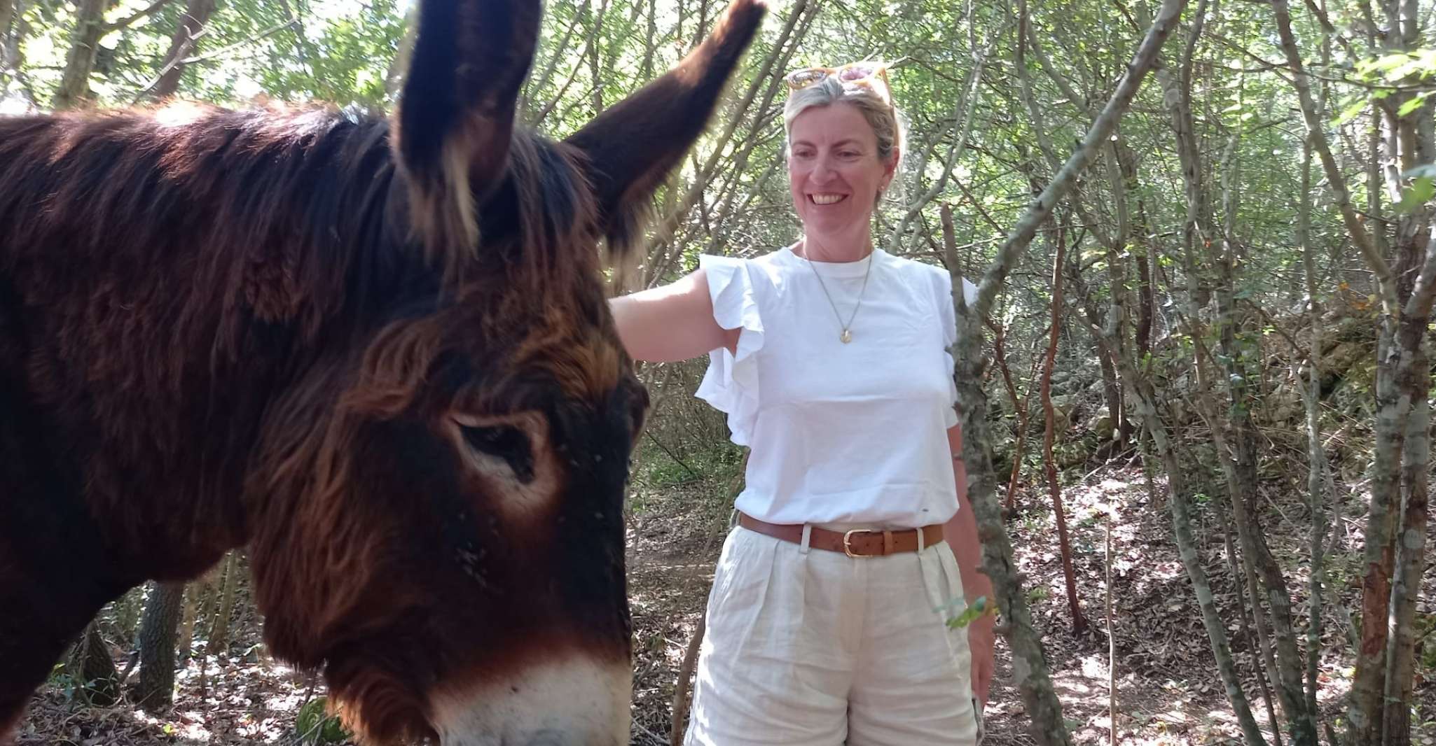 Alberobello e-bike tour with visit to a donkey farm - Housity
