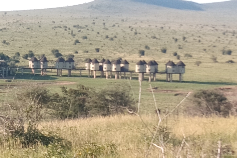 3 jours de safari Tsavo East & Taita Hills/ Saltlick lodge