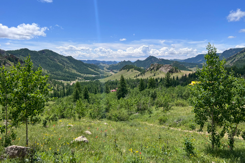 Excursão de 1 dia à estátua de Chinggis Khan, parque nacional de Terelj