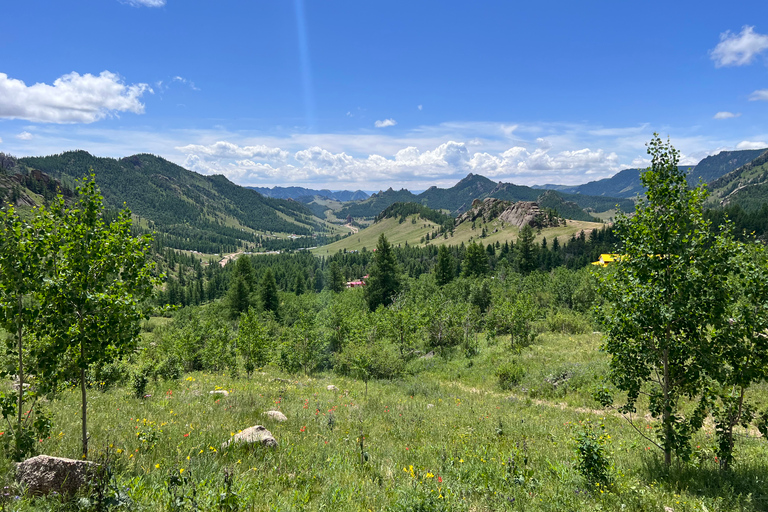 Excursão de 1 dia à estátua de Chinggis Khan, parque nacional de Terelj