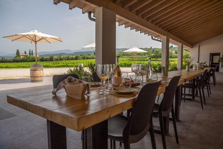 Bardolino: Vineyard Tour with Wine and Food Tasting German