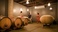 Bardolino, vineyard tour with wine and food tasting - Housity
