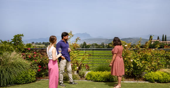 Bardolino: Vineyard Tour with Wine and Food Tasting