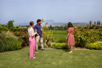 Bardolino, vineyard tour with wine and food tasting - Housity
