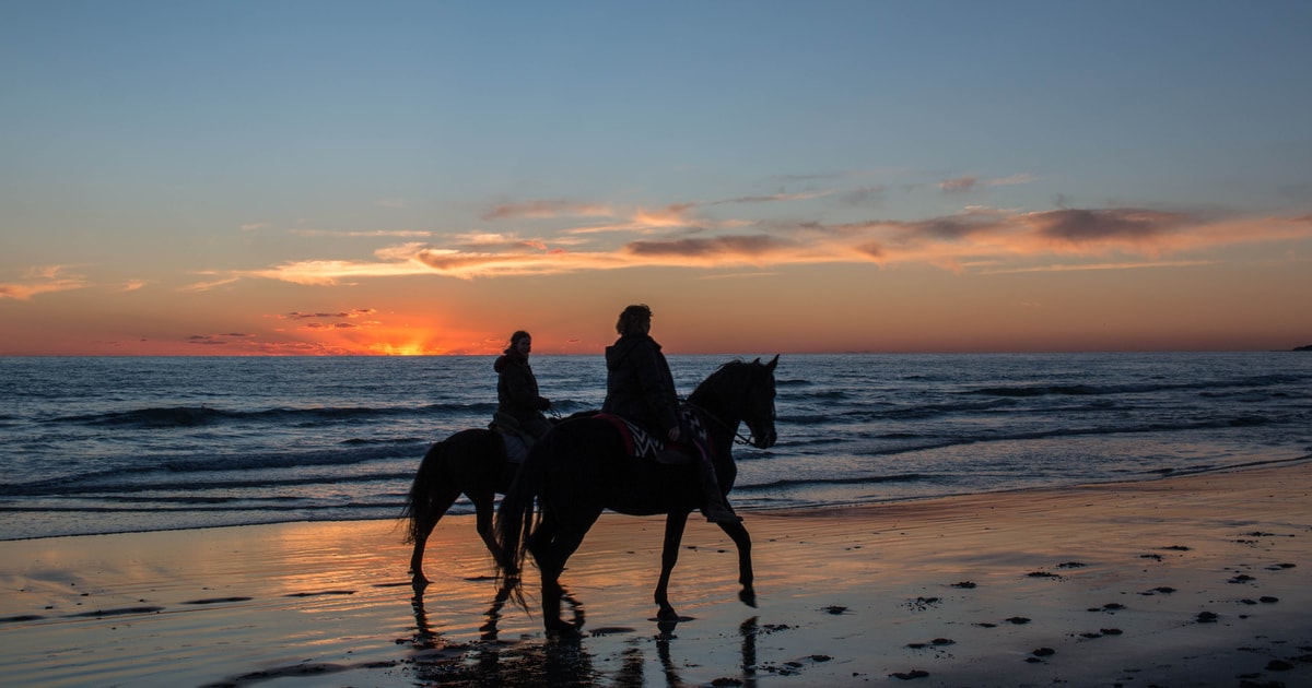 Taghazout: Sunset Horseback Ride Experience on the Beach | GetYourGuide