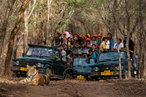 8 jours - Circuit du Triangle d'Or avec safari des tigres de Ranthambore