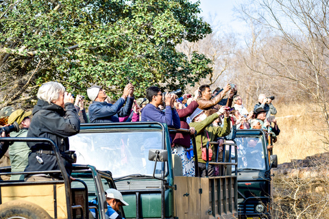 8-dniowa wycieczka po Złotym Trójkącie z safari Ranthambore Tiger