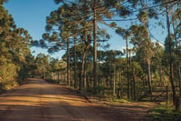 Privé 2 dagen reis naar Gramado en Cambara do Sul (Canyons) - Housity