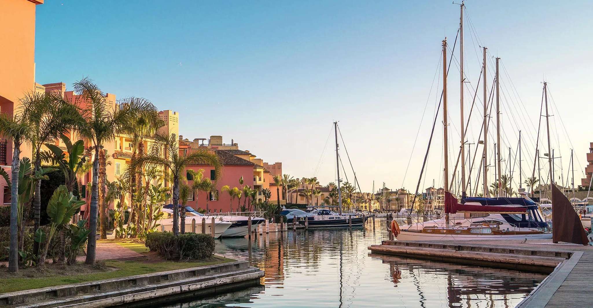 Sotogrande: Dolphin Watching Boat Trip with Drink photo 5