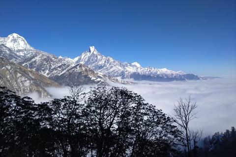 6 nuits et 7 jours de trek sur la colline de Khopra au départ de Pokhara